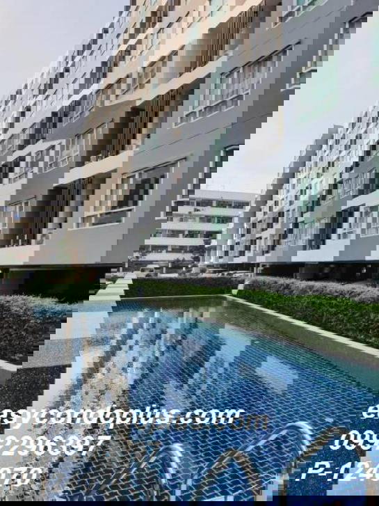 รูป P-124070 คอนโด 1 นอน วิวเมืองสวย @ รีเจ้นท์ โฮม สุขุมวิท 81 ใกล้ BTS อ่อนนุช | Line Id: @easycondoplus | 099-229-6397 - รูปที่ 7/7