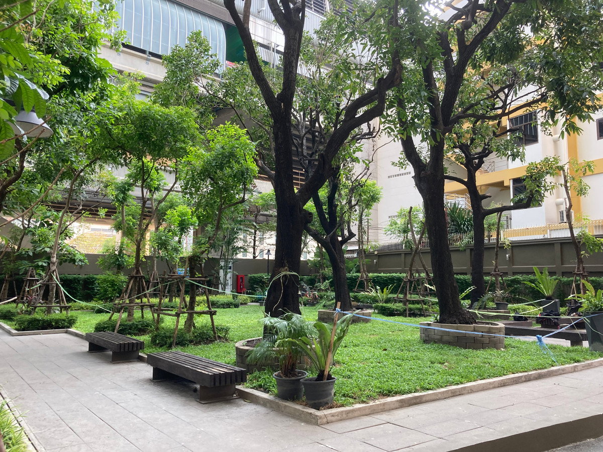 picture Code: 26KJ1877  for rent Noble Revent  🔥🔥 Line ID: @kjcondo (with @)🔥🔥 - 12/13