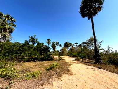 ที่ดิน สามร้อยยอด ประจวบคีรีขันธ์ : ขายที่ดินติดถนนทางหลวงท้องถิ่นสายบ้านใหม่ ใกล้ชายหาดสามร้อยยอด เพียง 1.2 กม.