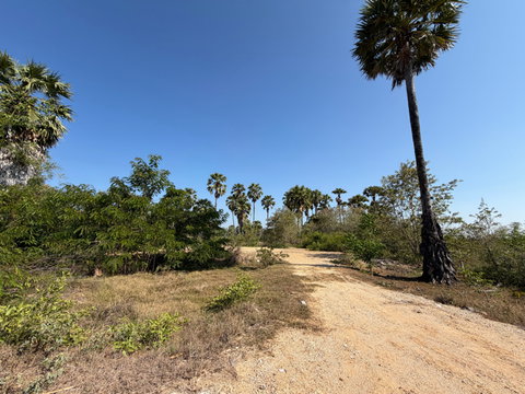 ขายที่ดินติดถนนทางหลวงท้องถิ่นสายบ้านใหม่ ใกล้ชายหาดสามร้อยยอด เพียง 1.2 กม.