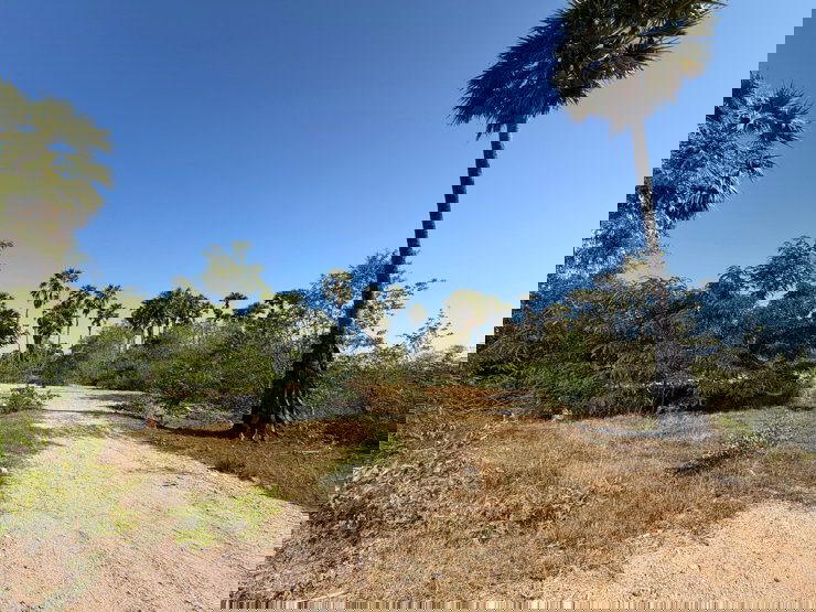 รูป ขายที่ดินติดถนนทางหลวงท้องถิ่นสายบ้านใหม่ ใกล้ชายหาดสามร้อยยอด เพียง 1.2 กม. - รูปที่ 1/5