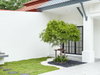 listing thumbnail image 49