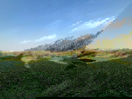 รูป ขายที่ดินแปลงใหญ่ 20 ไร่ 80.40 ตรว. ติดนิคมอุตสาหกรรมโรจนะ 1 ต.คานหาม อ.อุทัย จ.พระนครศรีอยุธยา ราคา 121,100,000 บาท - รูปที่ 7/9