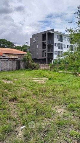 picture Land 373 Sqm For Sale Near Maejo University, San Sai, Chiang Mai (ID 2800721) - 2/4