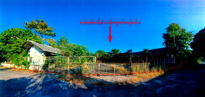 LAND 540 Sq.w. San Pa Tong Chiang Mai for 3.7M