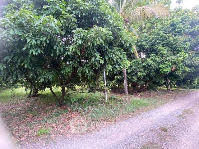 picture Land For Sale 1,555 Sqm Khua Mung Saraphi Chiang Mai (ID 2719200) - 3/6