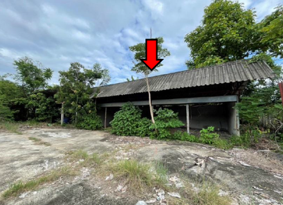 picture LAND 540 Sq.w. San Pa Tong Chiang Mai for 3.7M - 3/4