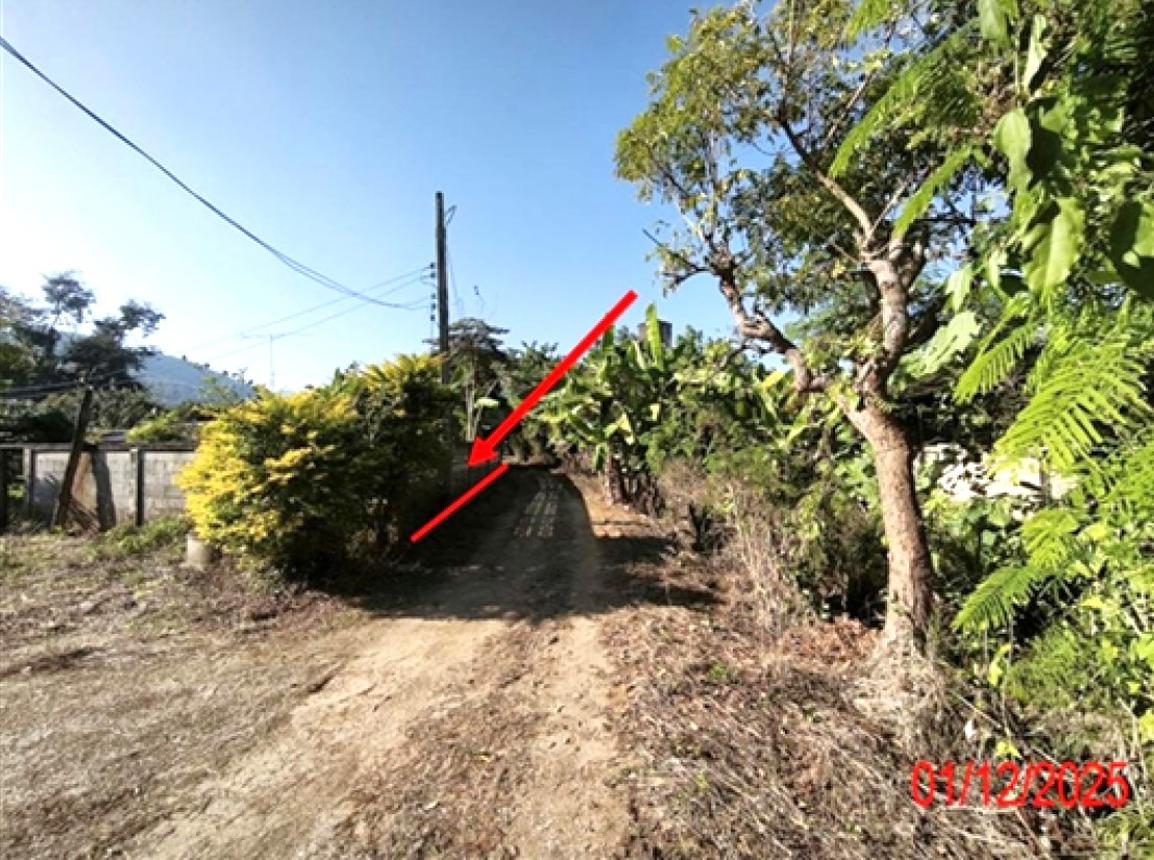 รูป ที่ดินว่างเปล่า 250 ตร.วา บ้านโฮ่ง ลำพูน 300,000 - รูปที่ 8/14