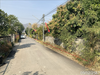 listing thumbnail image 17