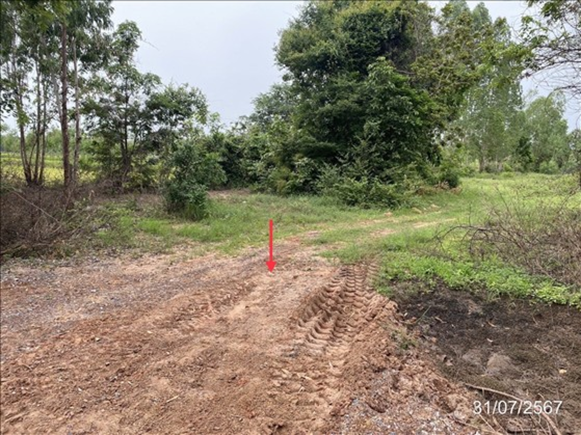 รูป ที่ดินว่างเปล่า 475 ตร.วา บรบือ มหาสารคาม 1M - รูปที่ 11/20