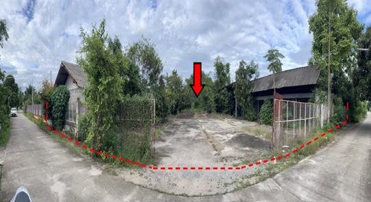 picture LAND 540 Sq.w. San Pa Tong Chiang Mai for 3.7M - 2/4