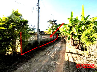 ที่ดินว่างเปล่า 250 ตร.วา บ้านโฮ่ง ลำพูน 300,000