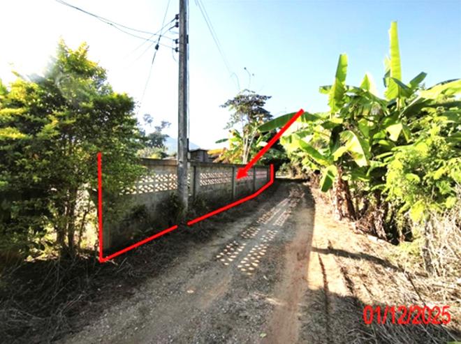 รูป ที่ดินว่างเปล่า 250 ตร.วา บ้านโฮ่ง ลำพูน 300,000 - รูปที่ 1/14