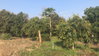 listing thumbnail image 18