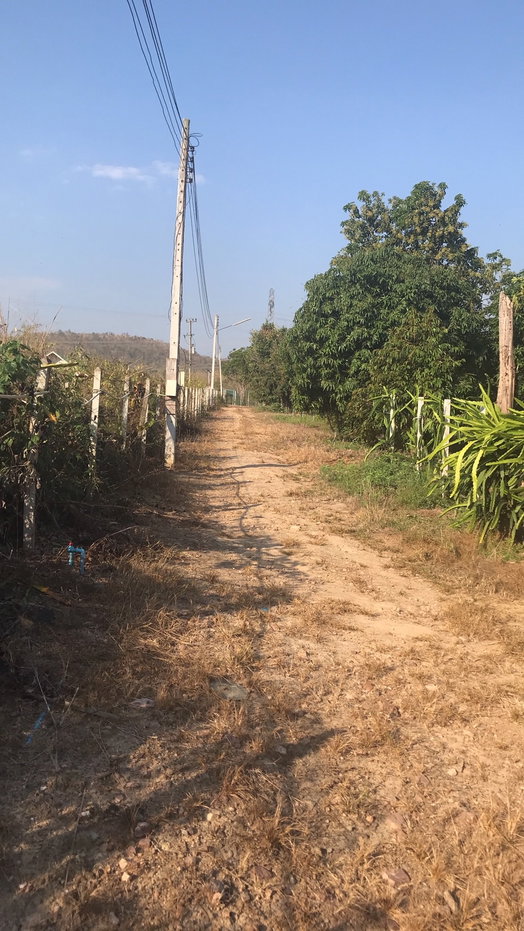 รูป ขายไร่ผลไม้  5  ไร่  บ้านเดี่ยว พร้อมอยู่อาศัย พื้นที่  5  ไร่  - รูปที่ 5/19