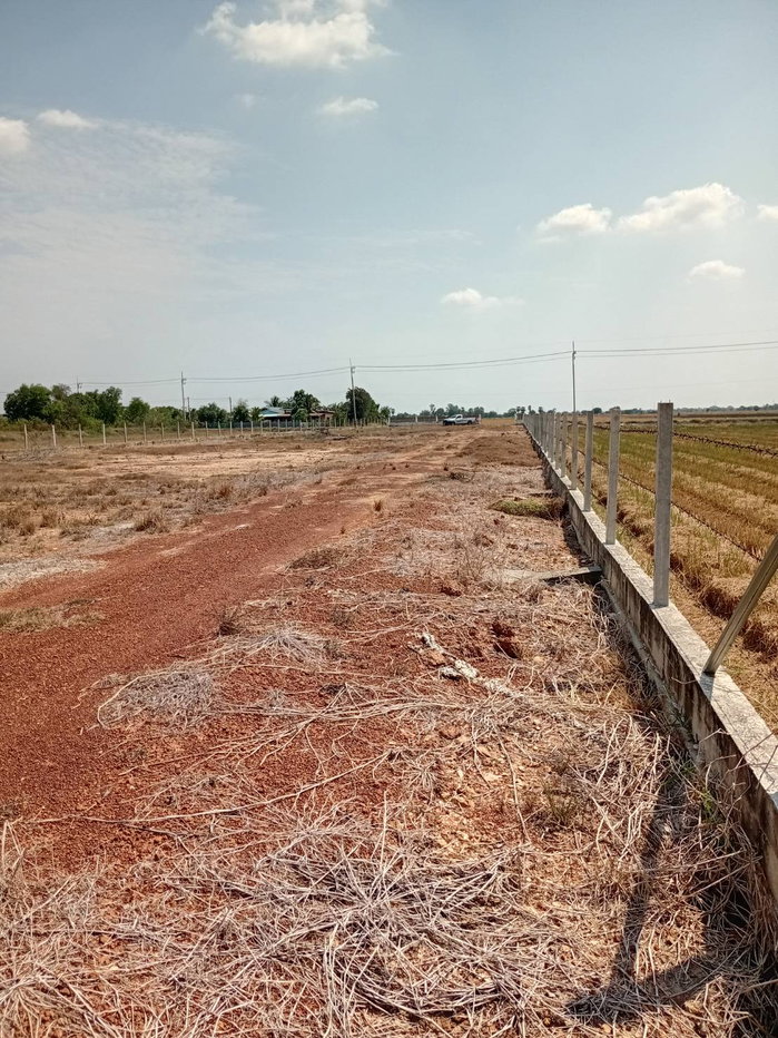 รูป ขายที่ดิน ทำเลสวย หน้าติดถนนคอนกรีต หลังติดคลอง ถมและทำรั้วกันเรียบร้อย - รูปที่ 2/7