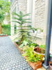 listing thumbnail image 7