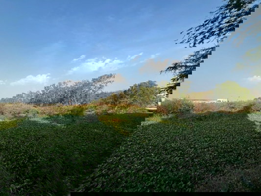 รูป ขายที่ดินแปลงใหญ่ 20 ไร่ 80.40 ตรว. ติดนิคมอุตสาหกรรมโรจนะ 1 ต.คานหาม อ.อุทัย จ.พระนครศรีอยุธยา ราคา 121,100,000 บาท - รูปที่ 8/9