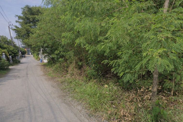 ขายที่ดิน 400 ตร.ว. เขตบางเขน