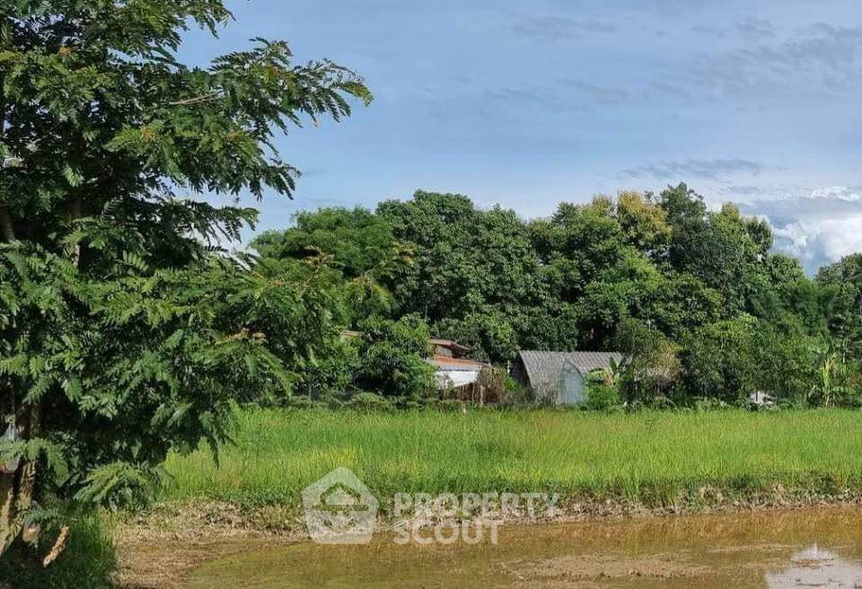 รูป ที่ดินสำหรับปล่อยขาย 1,600 ตารางเมตร แถว ใน แม่คือ (ID 2463164) - รูปที่ 4/4