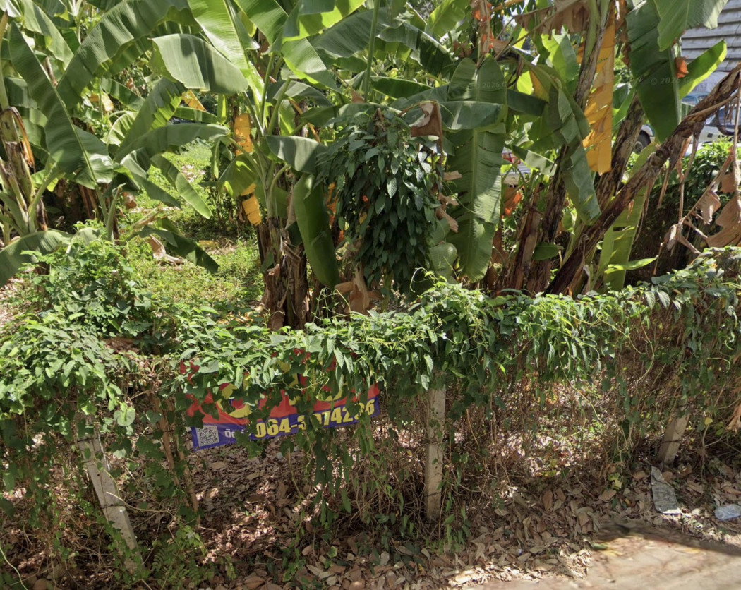 รูป ขาย ที่ดิน 92 ตรว แจ้งวัฒนะ 10 แยก 9-1 ใกล้ศูนย์ราชการ - รูปที่ 3/5