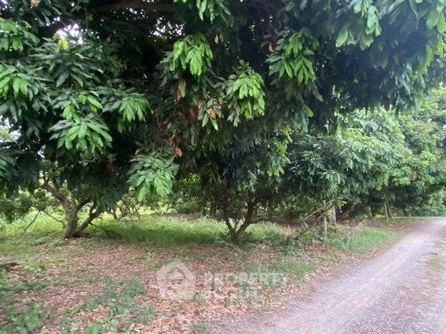 picture Land For Sale 1,555 Sqm Khua Mung Saraphi Chiang Mai (ID 2719200) - 2/6