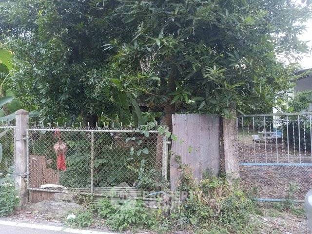 รูป ขายที่ดิน 451 ตร.ม. ในหนองผึ้ง สารภี เชียงใหม่ (ID 2706385) - รูปที่ 3/4
