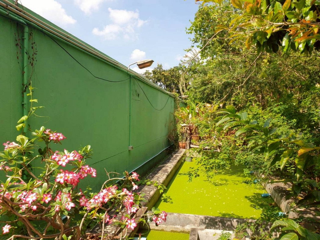 รูป ขายถูก บ้านเดี่ยว พร้อมที่ดินแปลงใหญ่ รามอินทรา 23 ใกล้ MRT สีชมพู สถานีลาดปลาเค้า - รูปที่ 5/8