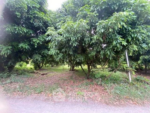 ขายที่ดิน 1,555 ตร.ม. คูมุ้ง สารภี เชียงใหม่ (ID 2719200)