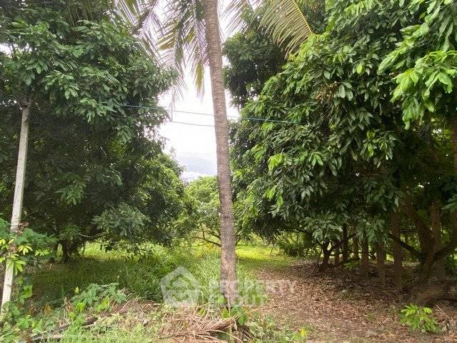 picture Land For Sale 1,555 Sqm Khua Mung Saraphi Chiang Mai (ID 2719200) - 6/6