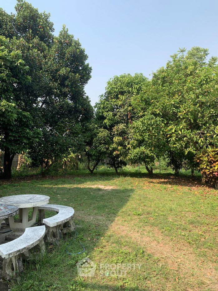 รูป บ้าน 3-ห้องนอน ใน ป่าไผ่ (ID 2809851) - รูปที่ 4/8