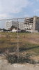listing thumbnail image 5