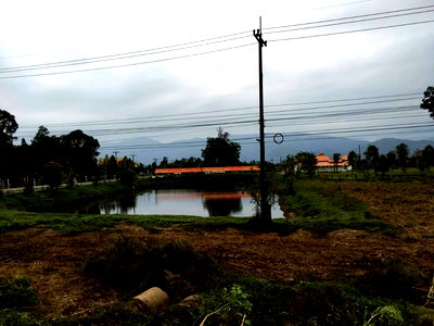 ที่ดิน รัตนวาปี หนองคาย : ขายที่ดิน 15 ไร่ 1 งาน 80 ตารางวา ติดสะดื้อแม่น้ำโขง (ถนนหกเลน) รัตนวาปี หนองคาย