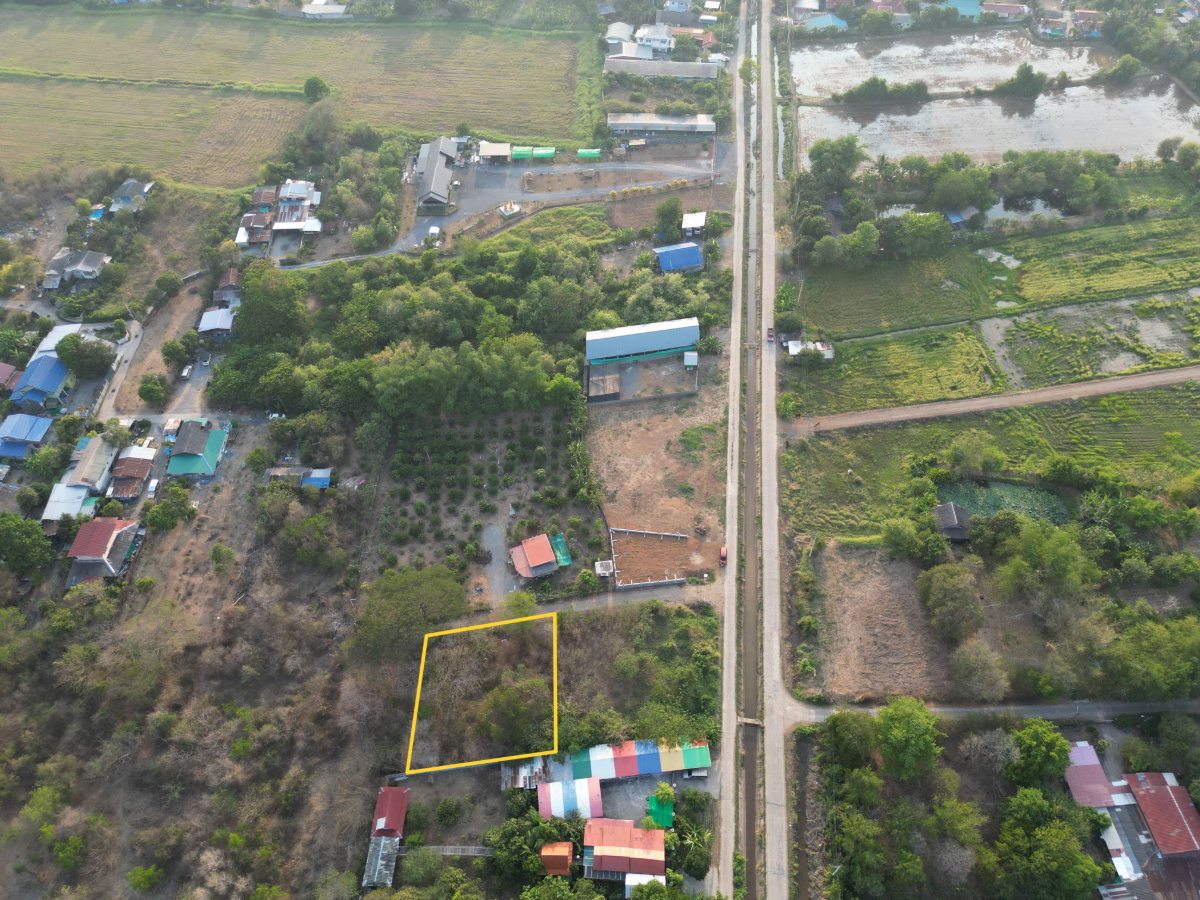 รูป #ขายที่ดินสระบุรี #ที่ดินท่าเรือ #ที่ดินบ้านหมอ ขนาด 237 ตรว. สี่เหลี่ยมสวย #ขายราคาถูกมากๆ บางโขมด บ้านหมอ ท่าเรือ สระบุรี  - รูปที่ 12/39