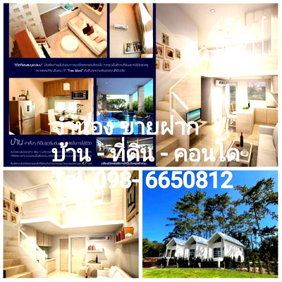 ที่ดิน ม.สยาม : รับจำนอง อสังหาฯ & รีไฟแนนซ์ อนุมัติไว  วงเงินสูง รับทั่วประเทศ