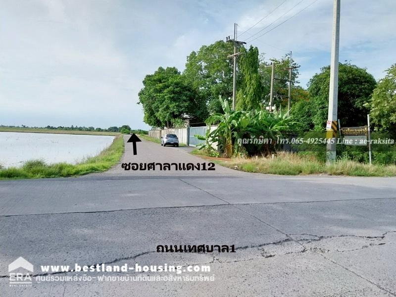 รูป ขายที่ดิน 8-2-1 ไร่ ต.ดอนฉิมพลี อ.บางน้ำเปรี้ยว จ.ฉะเชิงเทรา ใกล้หนองจอก ที่ดินเป็นน้ำ - รูปที่ 11/24