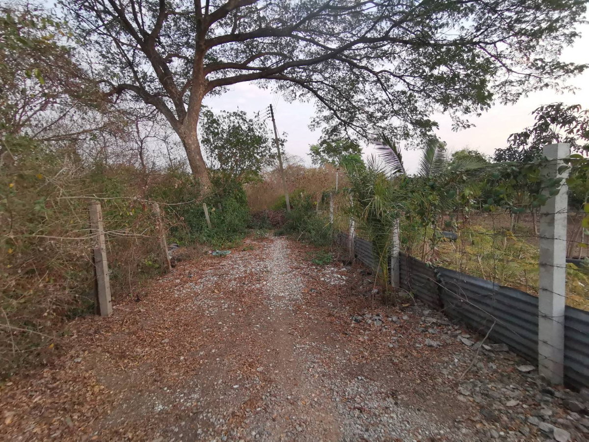 รูป #ขายที่ดินสระบุรี #ที่ดินท่าเรือ #ที่ดินบ้านหมอ ขนาด 237 ตรว. สี่เหลี่ยมสวย #ขายราคาถูกมากๆ บางโขมด บ้านหมอ ท่าเรือ สระบุรี  - รูปที่ 31/39