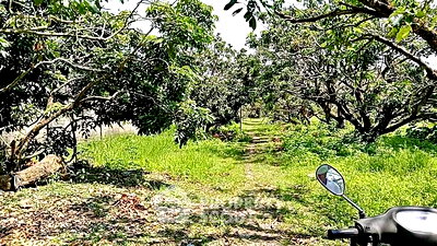 ที่ดิน สนามกีฬาสมโภชเชียงใหม่ 700 ปี : ที่ดินสำหรับปล่อยขาย 5,004 ตารางเมตร แถว ใกล้ เซ็นทรัล เฟสติวัล เชียงใหม่ (ID 2459789)