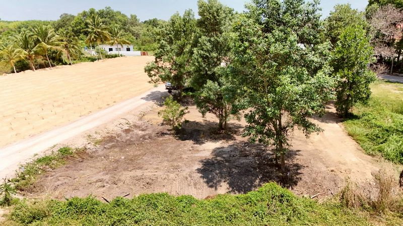 รูป ขายที่ดินผ่อนตรงกับเจ้าของ ต.ตาขัน อ.บ้านค่าย ระยอง เนื้อที่ 100 ตรว. ราคา850,000 - รูปที่ 2/9