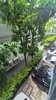 listing thumbnail image 12