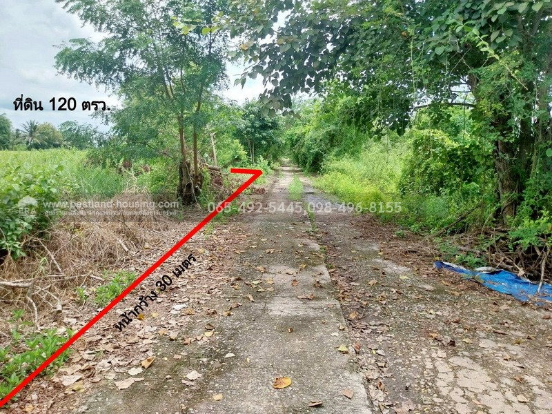 รูป ขาย ที่ดิน 120 ตรว. 5 แสน!! ต.หมอนทอง อ.บางน้ำเปรี้ยว จ.ฉะเชิงเทรา ใกล้โรงเรียนวัดคลอง18 ห่างเขตหนองจอกประมาณ 33 k.m. - รูปที่ 5/22