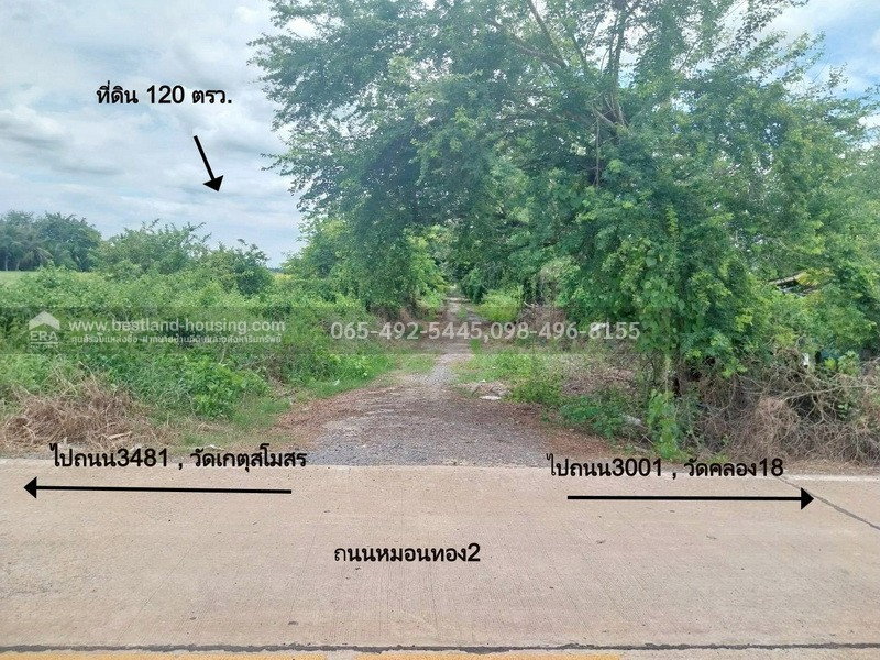 รูป ขาย ที่ดิน 120 ตรว. 5 แสน!! ต.หมอนทอง อ.บางน้ำเปรี้ยว จ.ฉะเชิงเทรา ใกล้โรงเรียนวัดคลอง18 ห่างเขตหนองจอกประมาณ 33 k.m. - รูปที่ 4/22