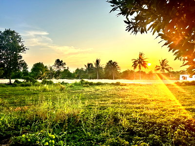 Land for sale Ta Khan Rayong : Land for sale with direct installment payments from the owner