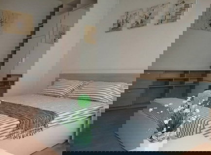 รูปภาพ ให้เช่า My Condo อุดมสุข 103 🏡 6,800 พร้อมอยู่‼️ ใกล้ BTS อุดมสุข #ตอบแชทไว 🔥🔥 รหัส M2097