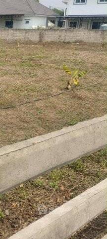 รูป ที่ดินสำหรับปล่อยขาย 880 ตารางเมตร แถว ใน ช้างคลาน (ID 2639917) - รูปที่ 2/6