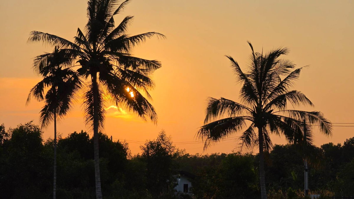 รูป ขายที่ดินผ่อนตรงกับเจ้าของ ต.ตาขัน อ.บ้านค่าย ระยอง เนื้อที่ 100 ตรว. ราคา850,000 - รูปที่ 8/9