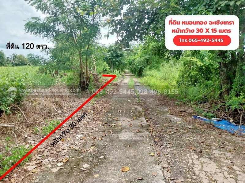 รูป ขาย ที่ดิน 120 ตรว. 5 แสน!! ต.หมอนทอง อ.บางน้ำเปรี้ยว จ.ฉะเชิงเทรา ใกล้โรงเรียนวัดคลอง18 ห่างเขตหนองจอกประมาณ 33 k.m. - รูปที่ 1/22