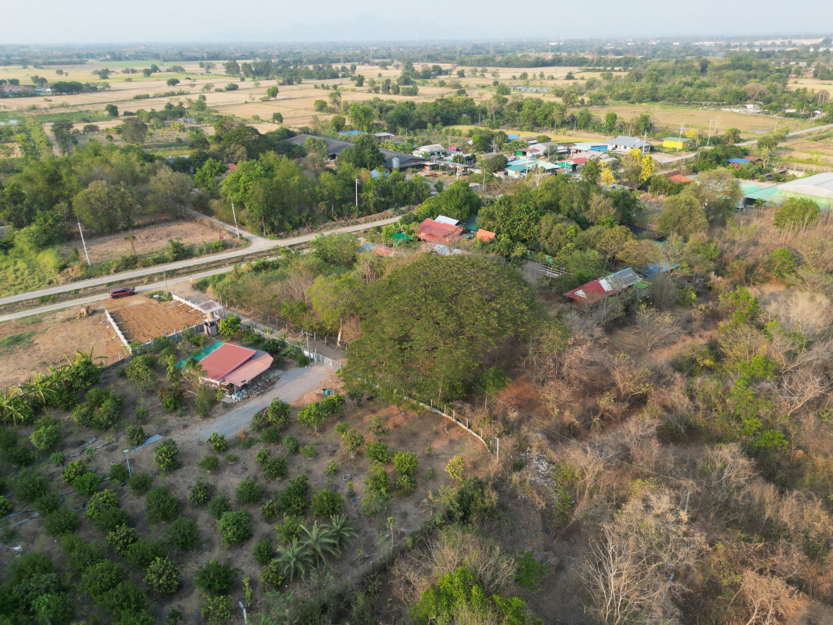 รูป #ขายที่ดินสระบุรี #ที่ดินท่าเรือ #ที่ดินบ้านหมอ ขนาด 237 ตรว. สี่เหลี่ยมสวย #ขายราคาถูกมากๆ บางโขมด บ้านหมอ ท่าเรือ สระบุรี  - รูปที่ 38/39