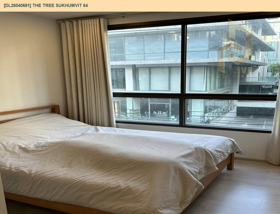 รูป DL26040681 ให้เช่าคอนโด เดอะ ทรี สุขุมวิท 64 (The Tree Sukhumvit 64) ใกล้ BTS ปุณณวิธี พร้อมเข้าอยู่ โทรด่วน 0800343450 LineID @655ebbvc - รูปที่ 3/10
