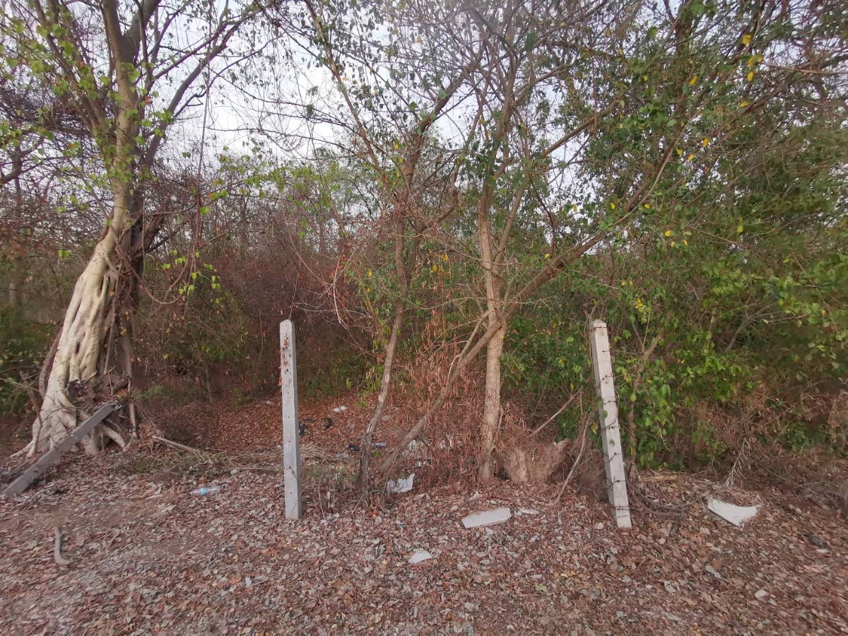 รูป #ขายที่ดินสระบุรี #ที่ดินท่าเรือ #ที่ดินบ้านหมอ ขนาด 237 ตรว. สี่เหลี่ยมสวย #ขายราคาถูกมากๆ บางโขมด บ้านหมอ ท่าเรือ สระบุรี  - รูปที่ 32/39